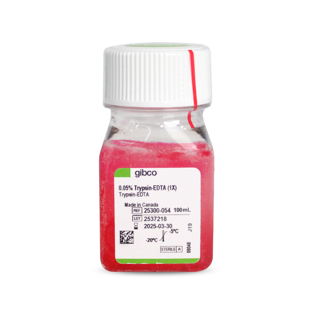 胰酶細(xì)胞消化液（0.05%胰酶，含EDTA，含酚紅）